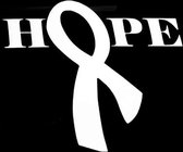 GoedeDoelen.Shop | Auto Sticker Hope Ribbon Zilver | Scootersticker | Laptopsticker | Cancer Awareness | Pink Ribbon | Borstkanker | Weerbestendig