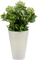 Ibergarden Decoratieplant 22 X 10 Cm Groen/wit 2-delig