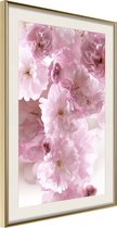 Poster Path Paved with Flowers 40x60