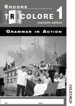 Encore Tricolore 1 Grammar In Action
