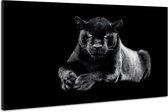 Schilderij -Zwarte Panter,  dieren, 2 maten, Wanddecoratie