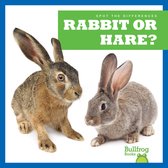 Spot the Differences- Rabbit or Hare?