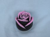 Zeep roos, Bloem, Roze, Zwart, Zwarte orchidee geur