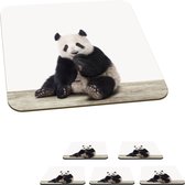 Onderzetters voor glazen - Panda - Dieren - Kinderen - Jongens - Meisjes - Pandabeer - 10x10 cm - Glasonderzetters - 6 stuks