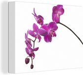 Canvas schilderij 160x120 cm - Wanddecoratie Orchidee tegen witte achtergrond - Muurdecoratie woonkamer - Slaapkamer decoratie - Kamer accessoires - Schilderijen