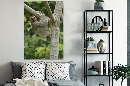 Tableau sur toile Un paresseux accroché à une branche - 90x140 cm - Décoration murale