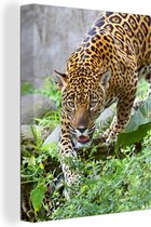 Canvas Schilderij Jaguar - Jungle - Groen - 90x120 cm - Wanddecoratie