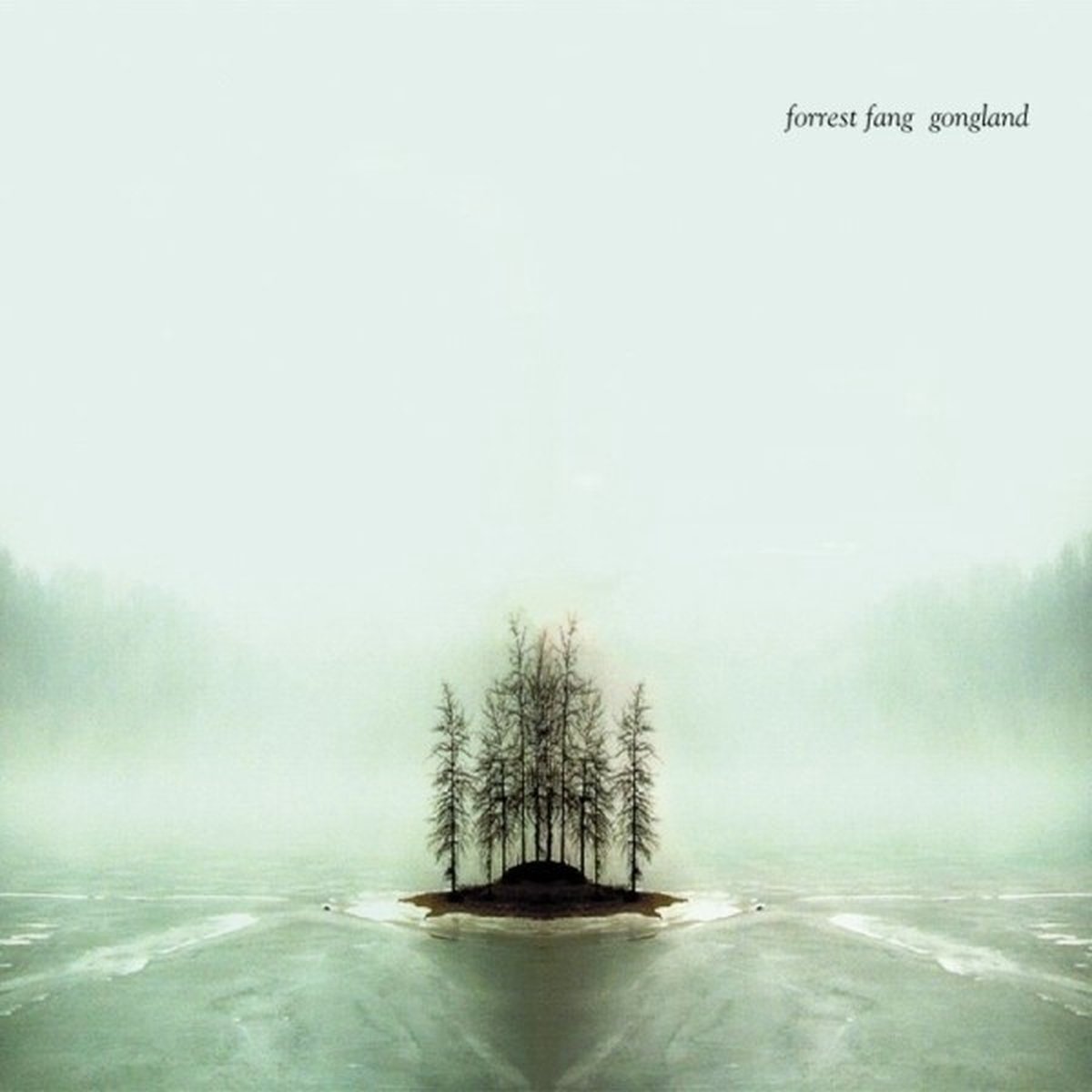 Forrest Fang - Gongland (CD)