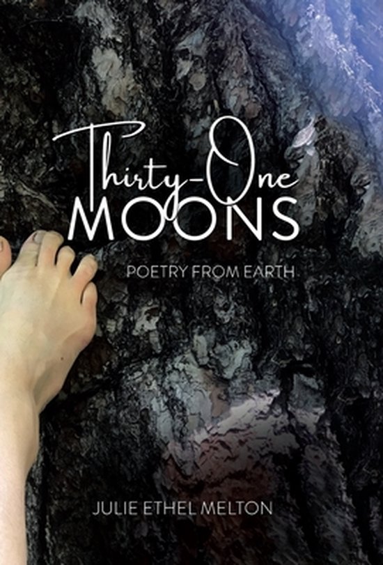 Thirty-One Moons - cover