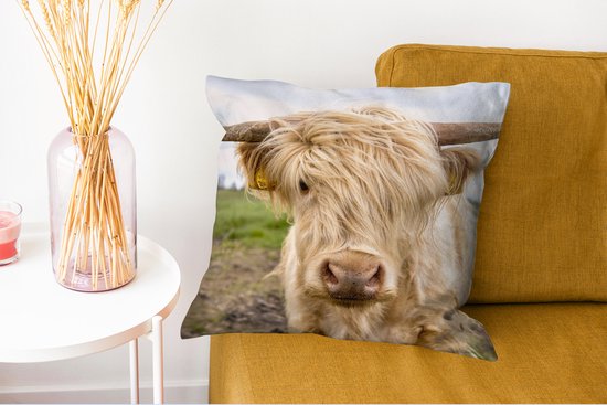 Coussins décoratifs - Oreillers Salon - 45x45 cm - Highlander écossais - Léger - Paysage