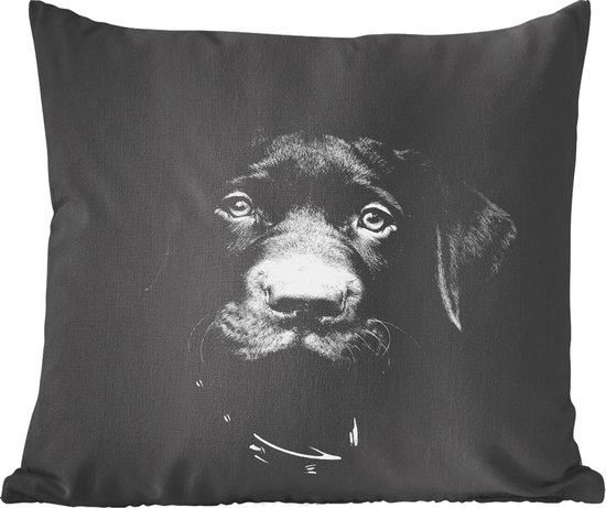 Sierkussens - Kussen - Close-up labrador puppy tegen zwarte achtergrond in zwart-wit - 60x60 cm - Kussen van katoen