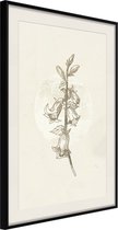 Ingelijste Poster - Beige Campanula Zwarte lijst met passe-partout