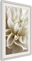 Ingelijste Poster - Dahlia II Witte lijst met passe-partout