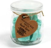 Waxmelts - Kruidige Appel - 16 stuks - Hartvormig