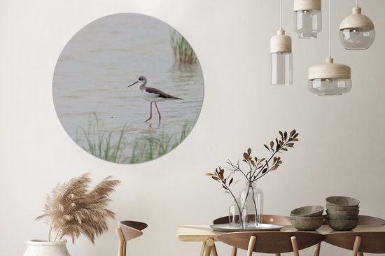 Echasse à ailes noires patauge en eau peu profonde Cercle mural aluminium ⌀ 120 cm - tirage photo sur cercle mural / cercle vivant / cercle jardin (décoration murale) XXL / Groot format!