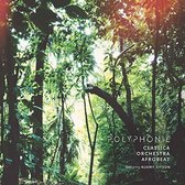 Classica Orchestra Afrobeat - Polyphonie (CD)