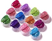 Glitter Poeder Nail Art Set - 12 Stuks - Diverse Kleuren - Nagel Decoratie Strass - Hexagon