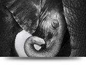 Maison de France - Canvas Olifant met jong - canvas - 40 x 60 cm