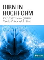 Gehirn&Geist Dossier 1701 - Hirn in Hochform