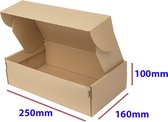 Verzenddoos 250 x 160 x 100 mm - 10 STUKS Klapdoos Vouwdoos - 10 stuks Dekseldozen Dubbele Golf Bruin 25 x 16 x 10 cm
