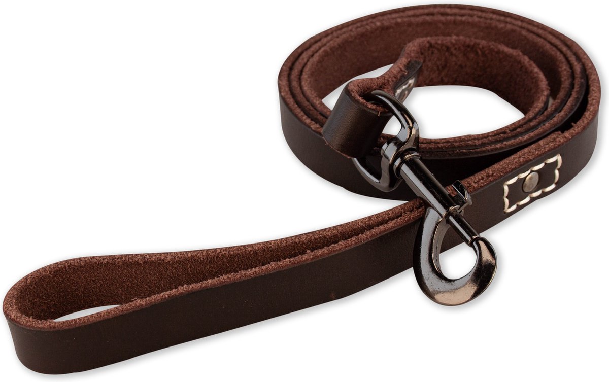 Bol.com Leren hondenriem - 220cm - bruine met zwarte riem - hondenriem met stiksels - 100% volnerfleer - hond - leiband hond - l... aanbieding