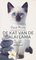 Paperback
