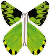 Magic Butterfly ® - Opdraai Vlinder - Magische Vlinders - Vlinder voor in een kaart - Nature Birdwing 10 stuks