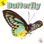 Flying Insects- Butterfly
