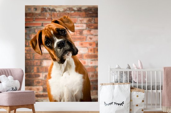 Stickers muraux - Film autocollant - Boxer regarde en diagonale vers la caméra - 120x160 cm - Film adhésif - Stickers muraux chambre d'enfant - Papier peint autocollant XXL - Papier peint autocollant - Film autocollant