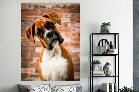 Stickers muraux - Film autocollant - Boxer regarde en diagonale vers la caméra - 120x160 cm - Film adhésif - Stickers muraux chambre d'enfant - Papier peint autocollant XXL - Papier peint autocollant - Film autocollant