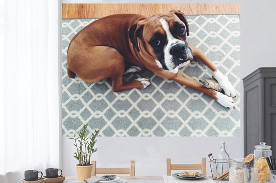 Sticker Muursticker Boxer - Boxer allongé sur le sol - 160x120 cm - film adhésif autocollant - sticker mural repositionnable XXL /