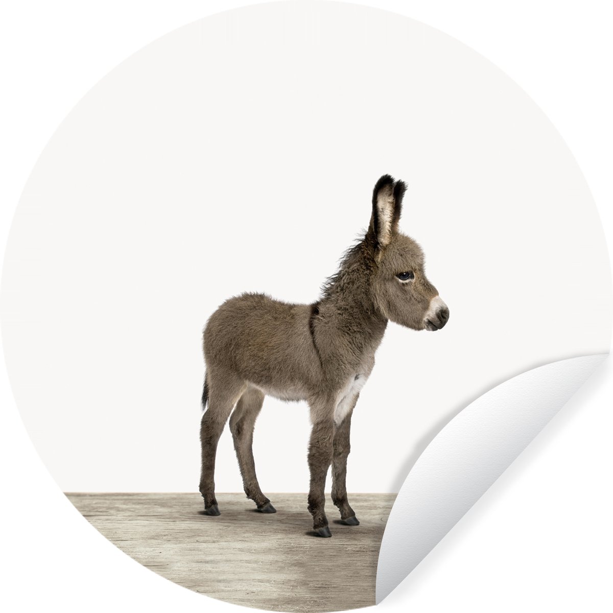 WallCircle® - Behangcirkel 50x50 cm - Muurstickers Dieren - Ezel - Grijs - Muurcirkel woonkamer - Wandcirkel slaapkamer - Kamer decoratie zelfklevend - Muurdecoratie accessoires