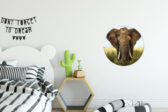 Cercle mural - Cercle mural Intérieur - ⌀ 30 cm - Plastique - Éléphant - Herbe - Champ