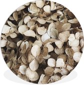 WallCircle - Cercle mural - Cercle mural d'intérieur - Fleurs - Hortensia - Marron - 150x150 cm - Décoration murale - Peintures ronds