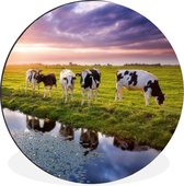 WallCircle - Wall Circle - Wall Circle - Nederland - Vache - Pâturage - Aluminium - Dibond - 90x90 cm - Intérieur et Extérieur