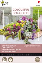Buzzy bloemzaad -  Droogbloemen - Elegant dried Flowers | Colorful Bouquets