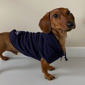 51 Degrees North - Warme College Hoodie voor jouw hond - Trui in 3 kleuren en 7 maten - Sweater met capuchon en rits - Kleur: Donker Grijs, Maat: Medium - 32 cm
