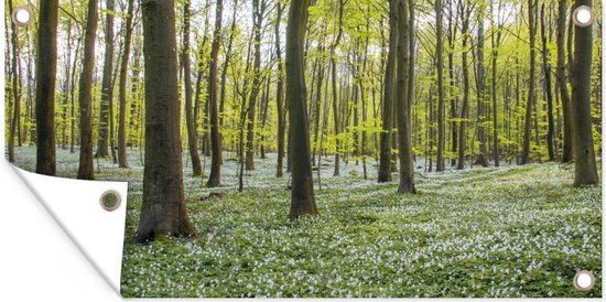 Tuinposter Bomen - Tuinposter - Tuindoek