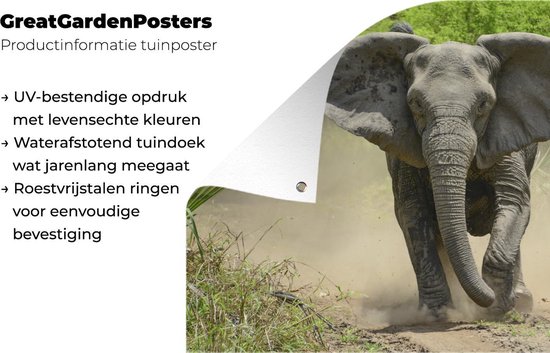 Affiche Running Elephant Garden 120x80 cm - Toile de jardin / Toile d'extérieur / Peintures d'extérieur (décoration de jardin)