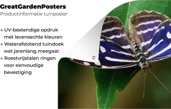 Blue Golf Butterfly Garden Poster 200x100 cm - Toile de jardin / Toile d'extérieur / Peintures d'extérieur (décoration de jardin) XXL / Groot format!