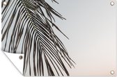 Muurdecoratie Zomer - Palmboom - Blad - 180x120 cm - Tuinposter - Tuindoek - Buitenposter