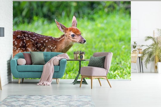 Papier peint photo peint photo vinyle - Jeune cerf court sur l'herbe largeur 390 cm x hauteur 260 cm - Tirage photo sur papier peint (disponible en 7 tailles)
