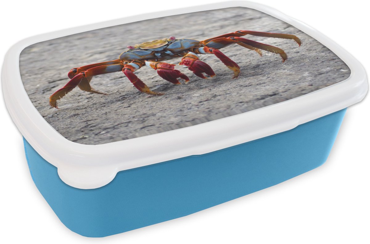 Broodtrommel Blauw - Lunchbox - Brooddoos - Strand - Dieren - Krab - 18x12x6 cm - Kinderen - Jongen