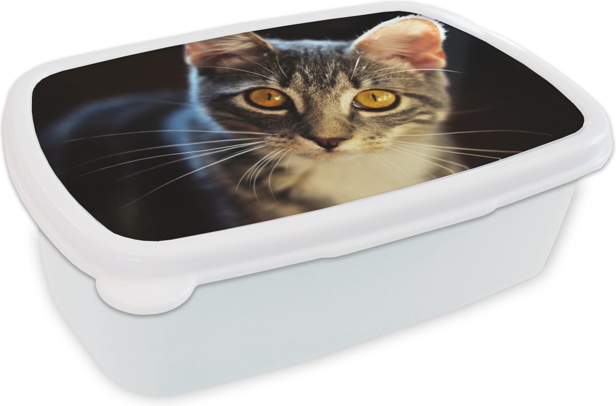 Broodtrommel Wit - Lunchbox - Brooddoos - Katten - Dieren - Ogen - Grijs - 18x12x6 cm - Volwassenen