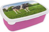 Broodtrommel Roze - Lunchbox - Brooddoos - Koe - Gras - Dieren - 18x12x6 cm - Kinderen - Meisje