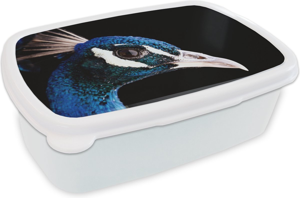 Broodtrommel Wit - Lunchbox - Brooddoos - Pauw - Dier - Blauw - 18x12x6 cm - Volwassenen
