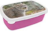 Broodtrommel Roze - Lunchbox - Brooddoos - Lynx - Bos - Grijs - 18x12x6 cm - Kinderen - Meisje