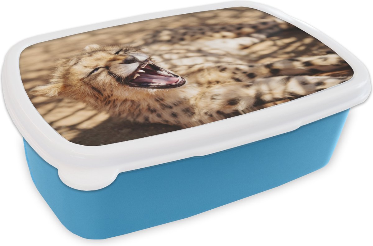 Broodtrommel Blauw - Lunchbox - Brooddoos - Cheetah - Dier - Close up - 18x12x6 cm - Kinderen - Jongen