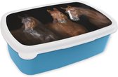 Broodtrommel Blauw - Lunchbox - Brooddoos - Paarden - Dieren - Zwart - Portret - 18x12x6 cm - Kinderen - Jongen