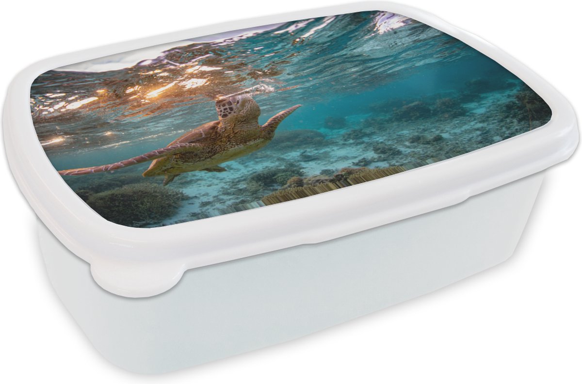 Broodtrommel Wit - Lunchbox - Brooddoos - Zee - Schildpad - Kleuren - 18x12x6 cm - Volwassenen